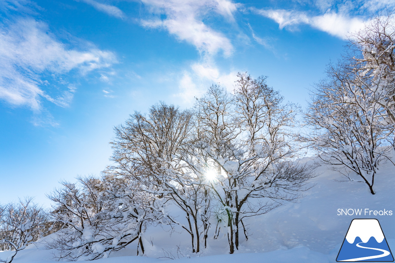 美唄国設スキー場｜豪雪・美唄からメリークリスマス！現在、道内屈指の積雪量。ということで、コンディションは最高です！